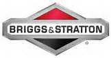 Briggs & Stratton Power Products